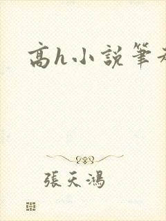 高h小说笔趣阁封面