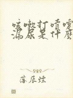 咳嗽打喷嚏都会漏尿是什么情况