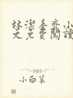 林洁秦齐小说全文免费阅读最新章节