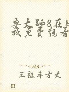 鲁大师8在线播放免费观看电视剧