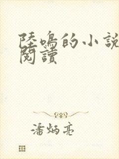 陆鸣的小说免费阅读