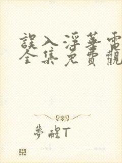 误入浮华电视剧全集免费观看