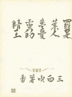 精灵梦叶罗丽世王的爱人是谁