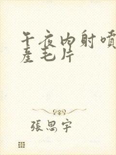 午夜内射喷水国产毛片封面