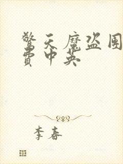 惊天魔盗团2免费中英封面