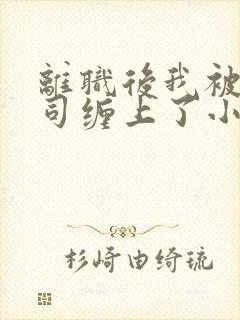 离职后我被前上司缠上了小说免费阅读