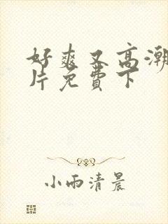 好爽又高潮了毛片免费下