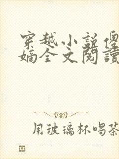 穿越小说傻王夺嫡全文阅读