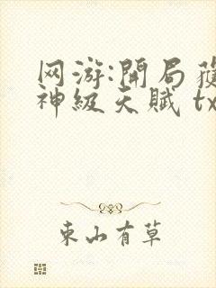 网游:开局获得神级天赋 txt下载