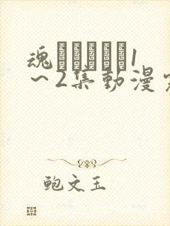 魂インサート1～2集动漫完整版