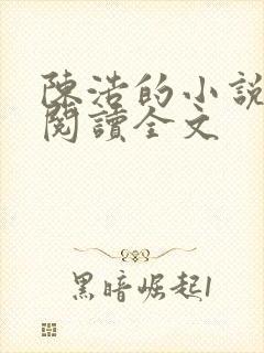 陈浩的小说免费阅读全文封面