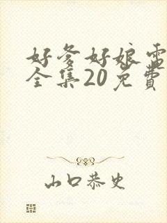 好爹好娘电视剧全集20免费观看封面