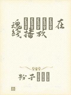 魂インサート在线播放