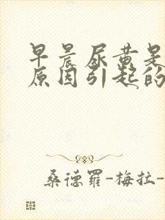 早晨尿黄是什么原因引起的