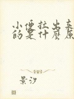 小便拉出来红色的是什么原因