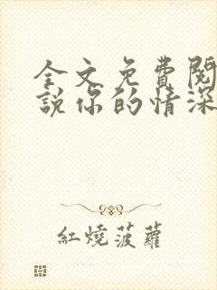 全文免费阅读小说你的情深我不配封面