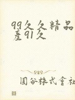 99久久精品国产91久