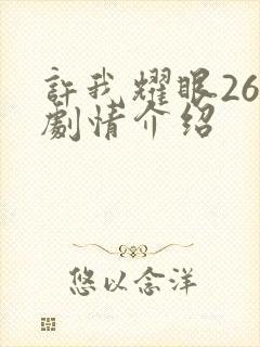 许我耀眼26集剧情介绍