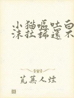 小猫呕吐白色泡沫拉稀还不吃