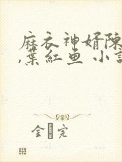 麻衣神婿陈黄皮,叶红鱼 小说