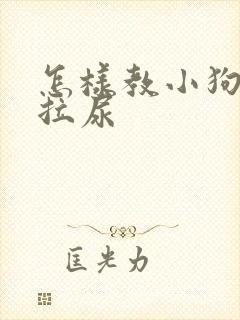 怎样教小狗拉屎拉尿