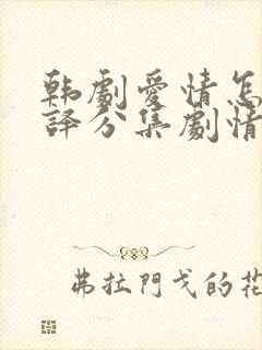 韩剧爱情怎么翻译分集剧情介绍封面