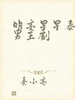 明亮星星泰剧双男主剧