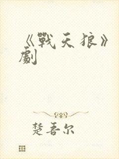 《战天狼》电视剧