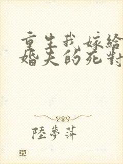 重生我嫁给了未婚夫的死对头封面