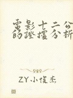 电影十二公民中的证据分析