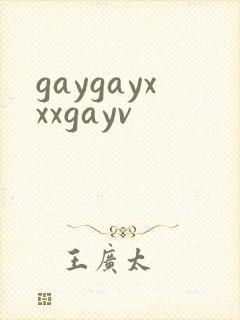 gaygayxxxgayv