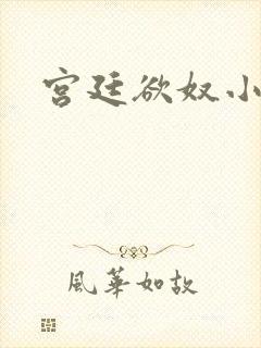 宫廷欲奴小说封面