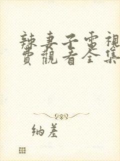 辣妻子电视剧免费观看全集