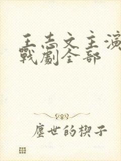 王志文主演的谍战剧全部