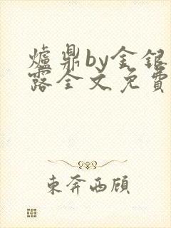 炉鼎by金银花露全文免费阅读笔趣阁