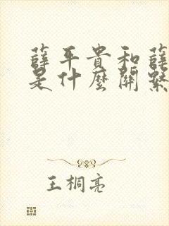 薛平贵和薛仁贵是什么关系