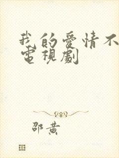 我的爱情不平凡电视剧封面