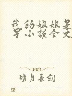 我的姐姐是大明星小说全文阅读