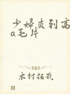 少妇爽到高潮的a毛片