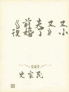 《前夫又又又想复婚了》小说