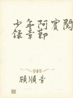 少年阿宾阅读目录章节