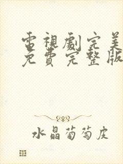 电视剧完美伴侣免费完整版