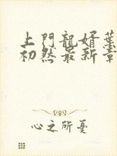 上门龙婿叶辰萧初然最新章节免费阅读