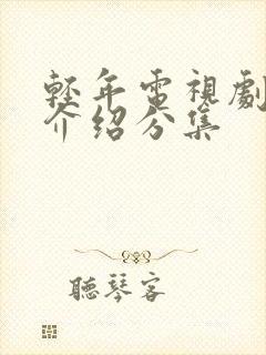 轻年电视剧剧情介绍分集