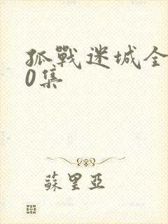 孤战迷城全集40集