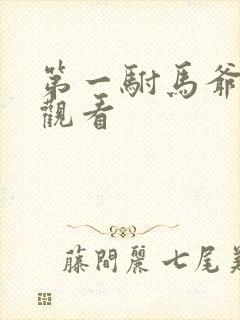 第一驸马爷在线观看封面