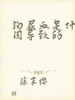 狗尿血是什么原因导致的