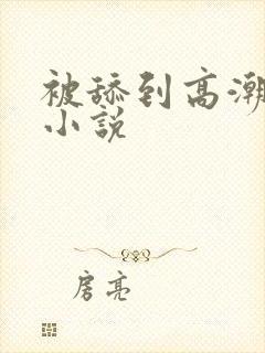 被舔到高潮求饶小说