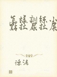 怎样训练小狗定点拉尿拉屎