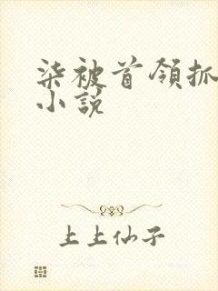 柒被首领抓走的小说